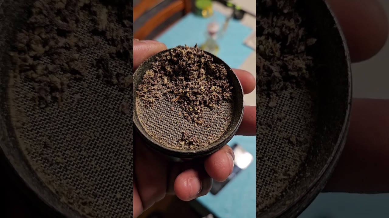 Bud Talk Episode Seventeen: Slurricrasher By Cresco