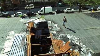 Hornet La Frappe - #Peufra