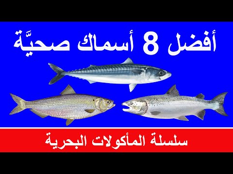 فيديو: لماذا يعتبر الزئبق في الأسماك مشكلة اليوم؟