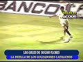 GOLES DE DOLMO FLORES