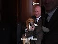 Historic move by EPA to end animal testing by 2035