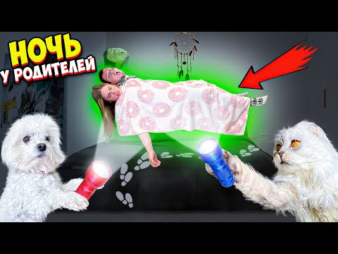 ЖУТКАЯ НОЧЬ В КОМНАТЕ РОДИТЕЛЕЙ! ОНИ ЛУНАТЯТ ???