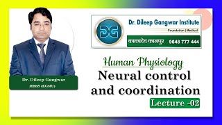 Neural Control & Coordination Lecture-2 By Dr Dileep Gangwar screenshot 4