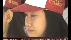 sayonara SD - Playlist  sayonara SD - Playlist