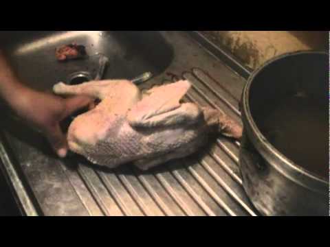 choking-the-chicken---how-to-kill,-defeather,-and-clean-a-chicken