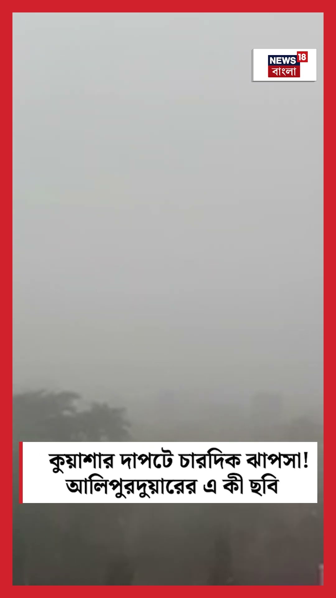 কুয়াশার দাপটে চারদিক ঝাপসা! Alipurduar এর এ কী ছবি! #shorts