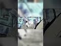 IMPOSSIBLE🇮🇳🇮🇳#shivedgamer#freefire#gameplay#shorts