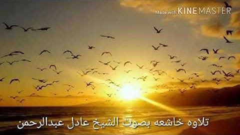 تلاوه خاشعه بصوت الشيخ عادل عبدالرحمن من صلاة العشاء بمسجد ساردية العتيق