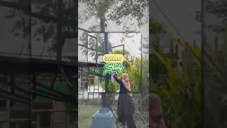 outdoor study KB/TK Bosowa Al Azhar