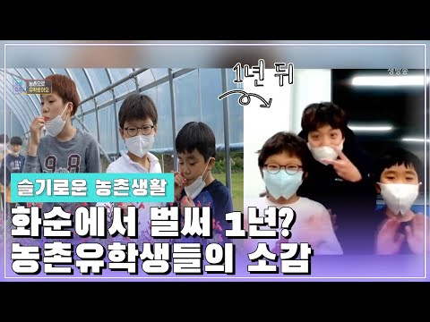 화순에서 지낸 1년, 농촌유학생 [오매전라도_광주MBC_2021.12.30]