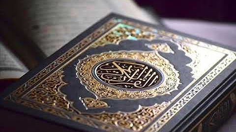 عشائية من سورة ص - الشيخ وليد يوسف