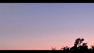 Live, Laugh, Love 아베 파커 1시간
