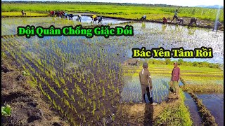 Quang Dũng || Thời Gian Tới Sẽ Nghỉ Không Cấy Nữa Bác Ạ . " Bác Biết Tai Sao Rồi "