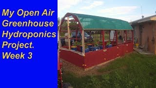 Greenhouse Hydroponics Project 3 week Update