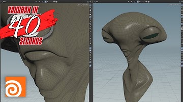Houdini | Split Pane