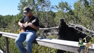 Dean Murphy 8 String Chordal Piece - ... And She'll Never Be Alone Again