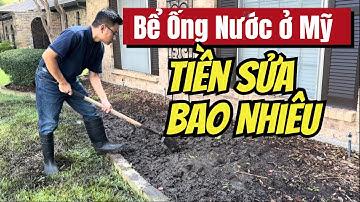 Broken Water Pipes in the US | How Much Does It Cost to Fix?