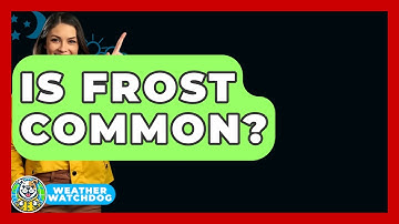 Is Frost Common? - Weather Watchdog