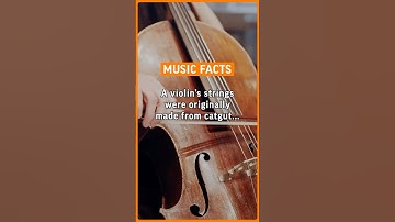A violin’s strings were originally made from catgut, which comes from sheep intestines, not… #music
