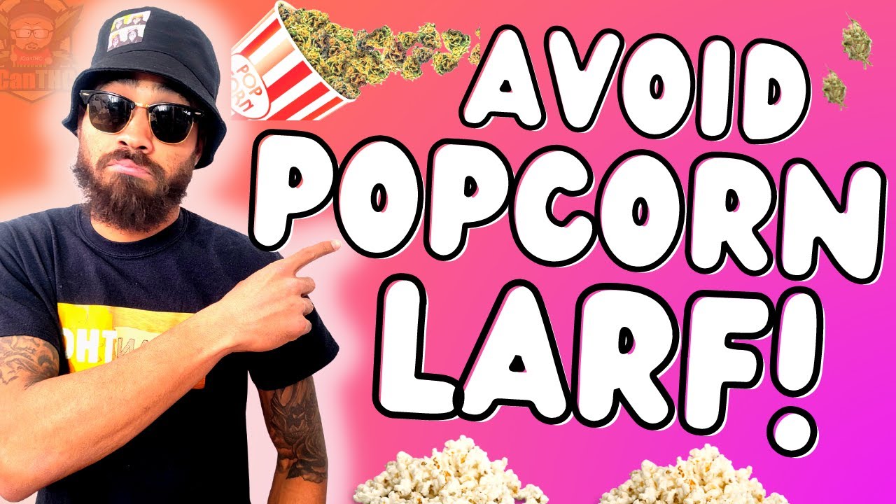 TRUTH ABOUT POPCORN BUDS AND LARFY FLOWER! How to prevent and how