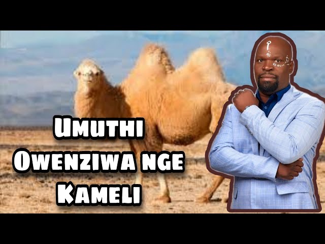 Ikameli Liyakwazi Ukuvula Izinto Zakho ne Mali | Dr Mnguni class=