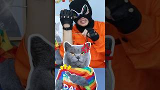 The Best Magic Reveal!😱 Watch It Till The End!🔮 #Funnycat #Magic #Funnymemes #Trending