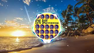 Echo Bass - Gotta Dance With the Music