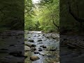 Binaural Beats vs Lo-Fi: Which Actually Works? #focus #studymusic #brainhealth