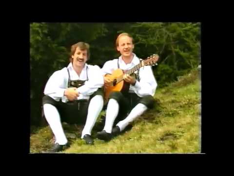 Fidele Mölltaler - Eine Herde weißer Schafe