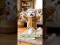 【AI踊る猫】♫CharismaxDance#charismax #カリスマックス #踊る猫 #猫のいる暮らし #おすすめ