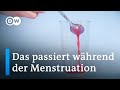 Menstruation: Was im Körper passiert, wenn es blutet | Sex &amp; the Body 3/4