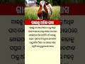 କିଛି ଜାଣିବା କଥା||odia general knowledge||#odiagktoday #odia #generalknowledge