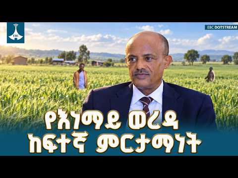 በምስራቅ ጎጃም ዞን የእነማይ ወረዳ አርሶ አደሮች በቴክኖሎጂ እና በግብዓት ያስመዘገቡት አርአያነት ያለው ምርታማነት | Ethiopia | Agriculture |