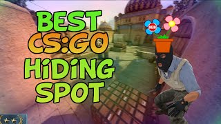 Best Csgo Hiding Spot Csgo Funny & Fails Moments