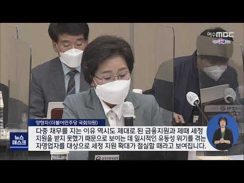 영세 자영업자 지원 소홀 &amp;#39;질타&amp;#39; - R (201020화/뉴스데스크)
