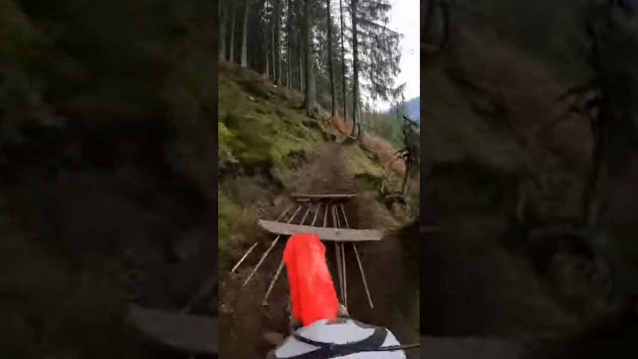 Моделирование с использованием ИИ для образования: руководство по безопасности мотокросса в джунг...