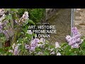 Art, histoire et promenade à Dinan - Terres de France