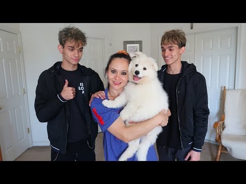 WE SURPRISED OUR MOM WITH A PUPPY!