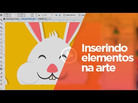 Curso Básico de CorelDraw para Sublimação - Elementos Imagens