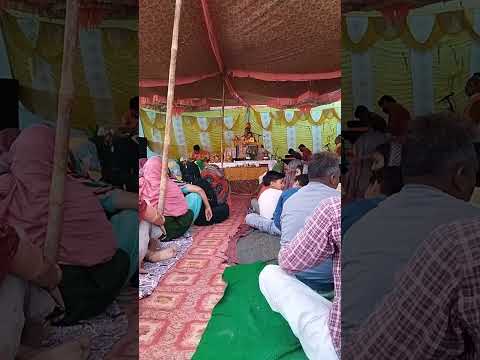 Live highlight