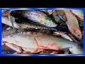 Рыбалка сплавной сетью поздней осенью, много рыбы, сиг,  рыбалка на реке Амур с fisherman dv.27rus,