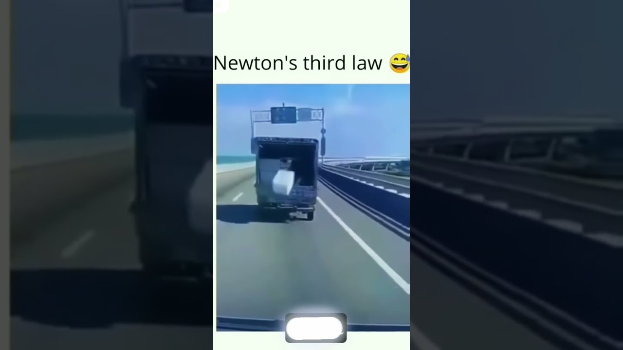 Newton S Third Law Sigma Rules 101 Youtubeshorts Exploremore Sigmarules Viralvideo