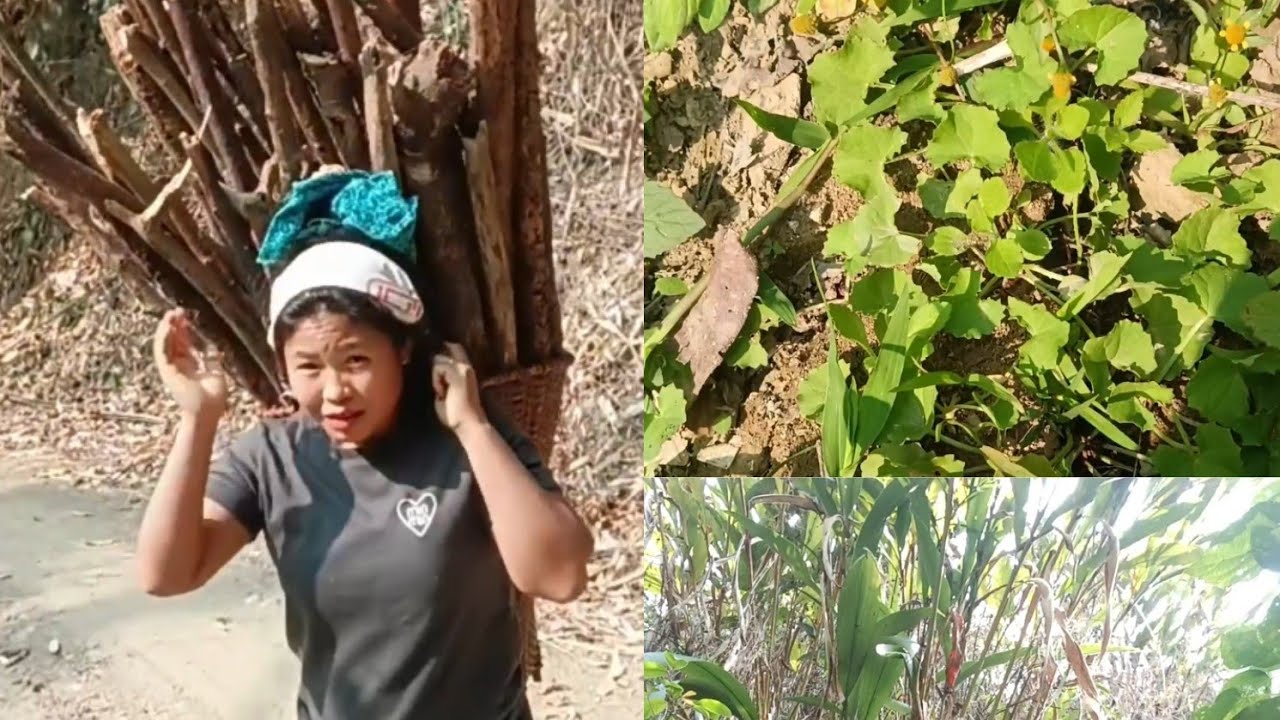 Selinga ka awm tawp na ber ni a thing a kan fe☺️🥰