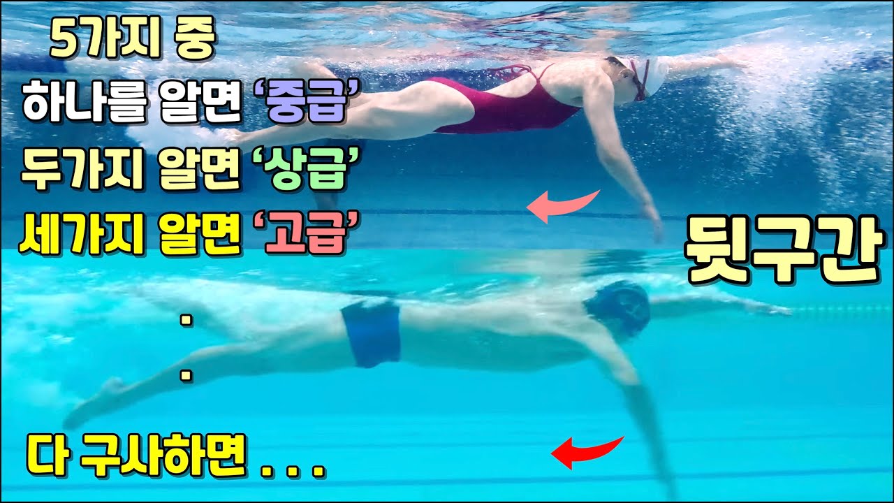 손목을 이 타이밍에 살짝 비트는거 (영업비밀1편) / 자유형 /