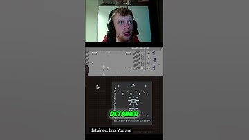 Papers, Please: Border Chaos! Fake Passports & Detentions! #shorts