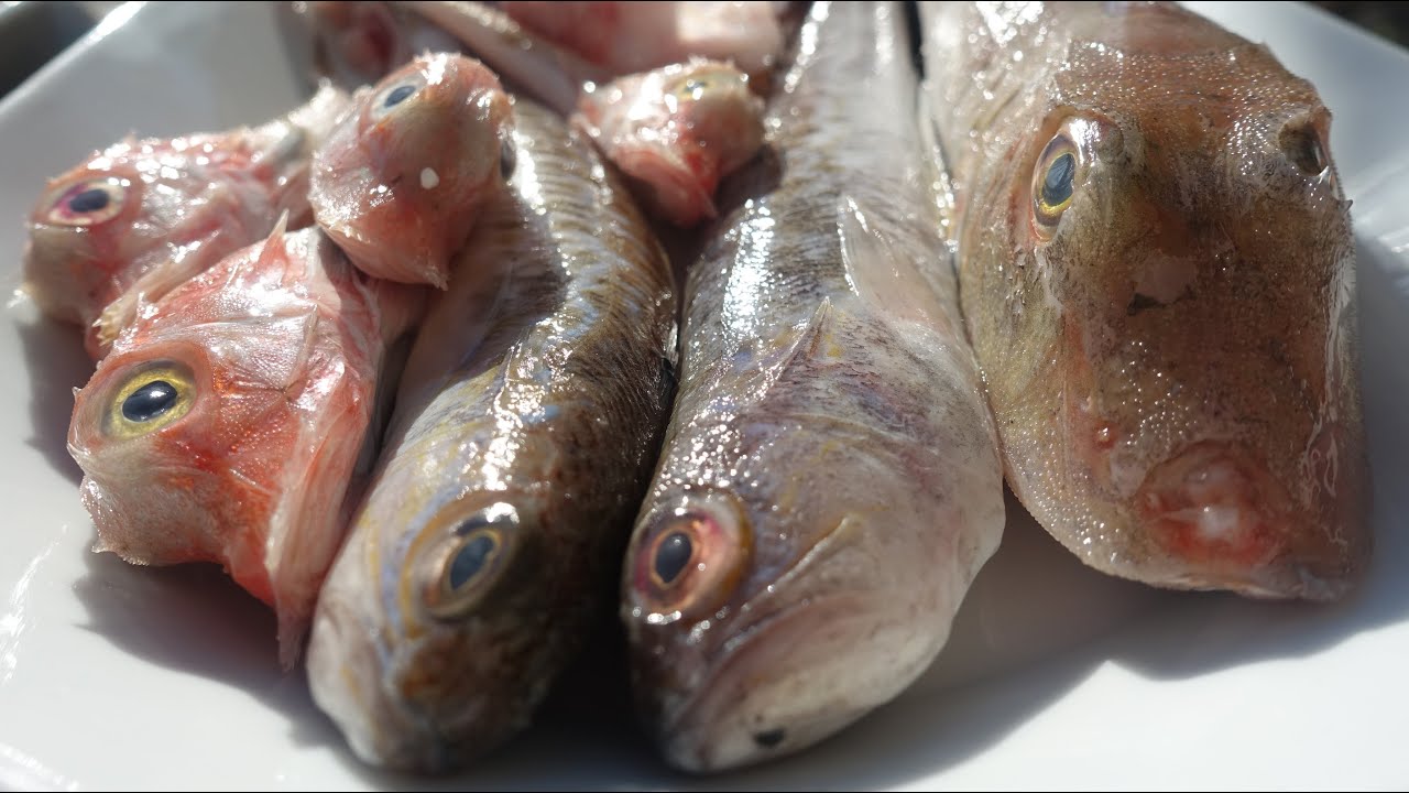 SOPA DE PEIX amb arròs