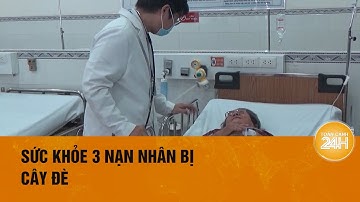 3 nạn nhân trong sự cố gãy cây xanh công viên Tao Đàn hiện ra sao? | Toàn cảnh 24h