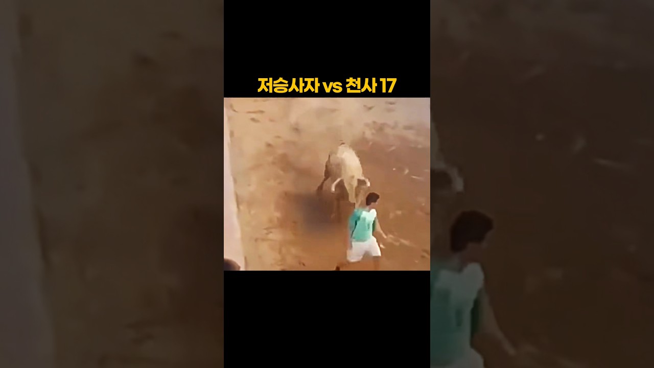 저승사자 vs 천사 (17편)