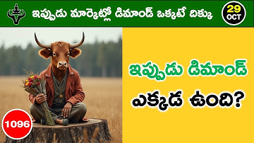 Mister Trader Daily Market Analysis with Logic | Mr. Trader | 1096#mistertraderofficial #trading