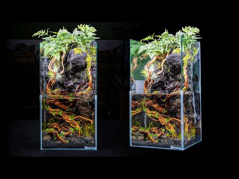 DIY Skyscraper Paludarium With Moss Waterfall